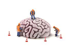 concept image of a giant brain with small construction workers surveying it